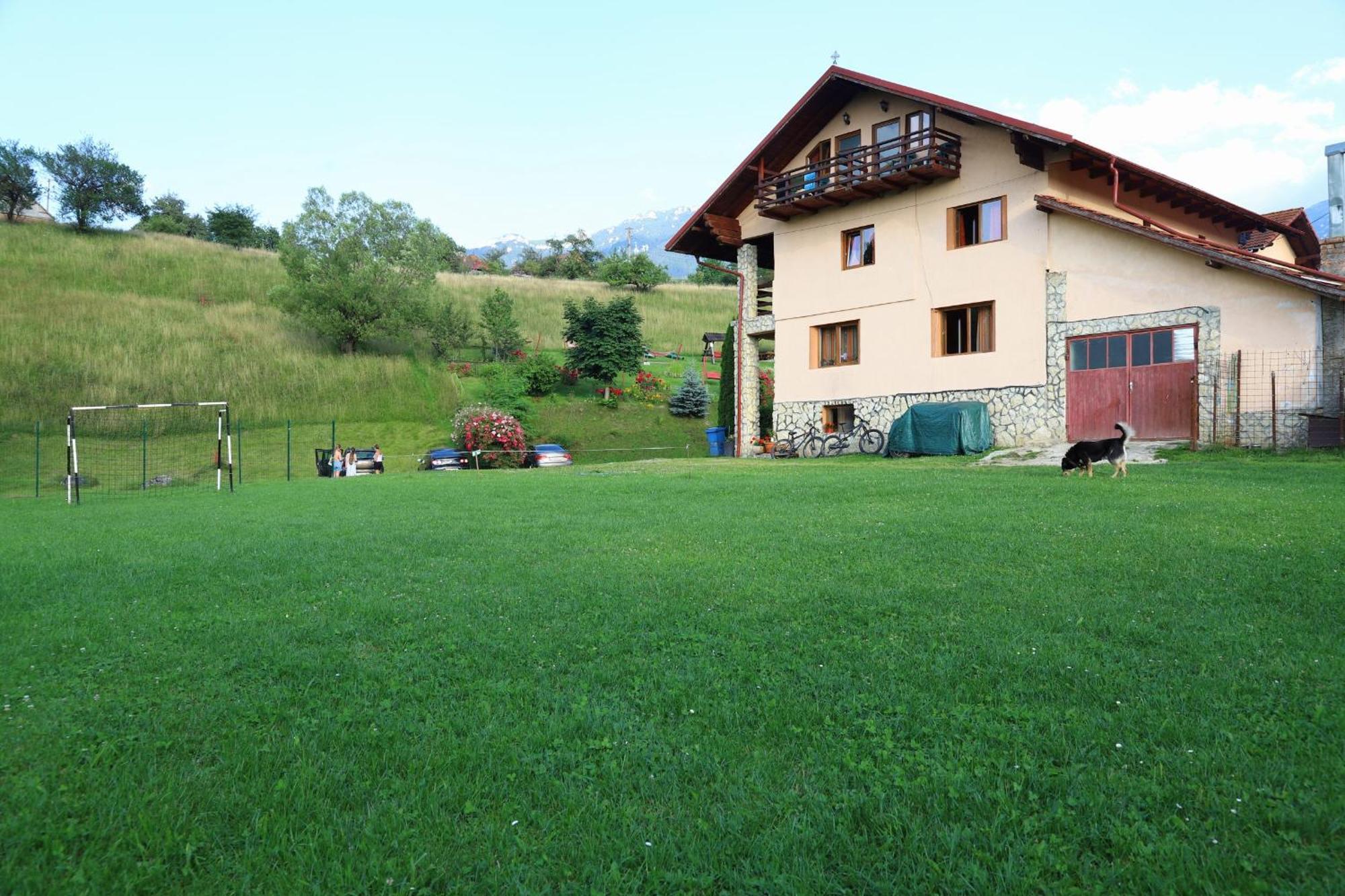 Pensiunea Dealul Frumos Bran  Exterior foto