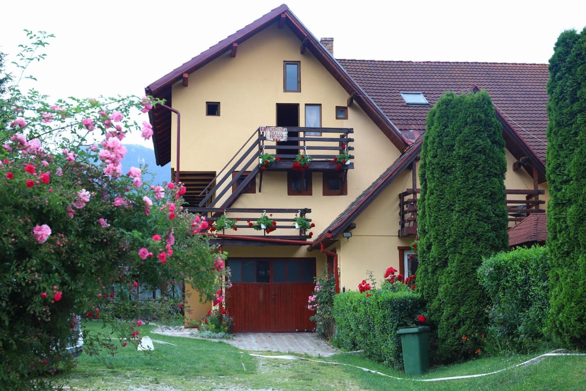 Pensiunea Dealul Frumos Bran  Exterior foto